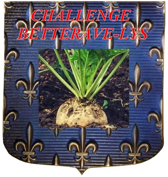 Logo hdf idf betterave et lys