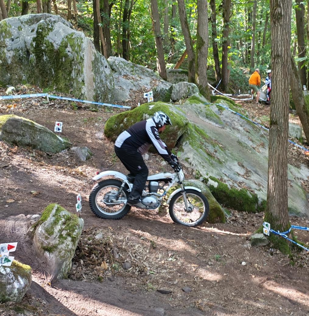 Laurent wingles st cheron 2026