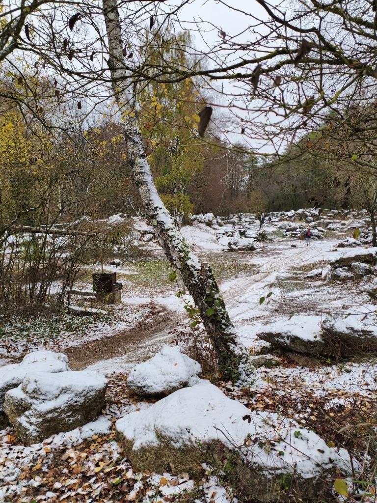 Terrain neige 11 2025